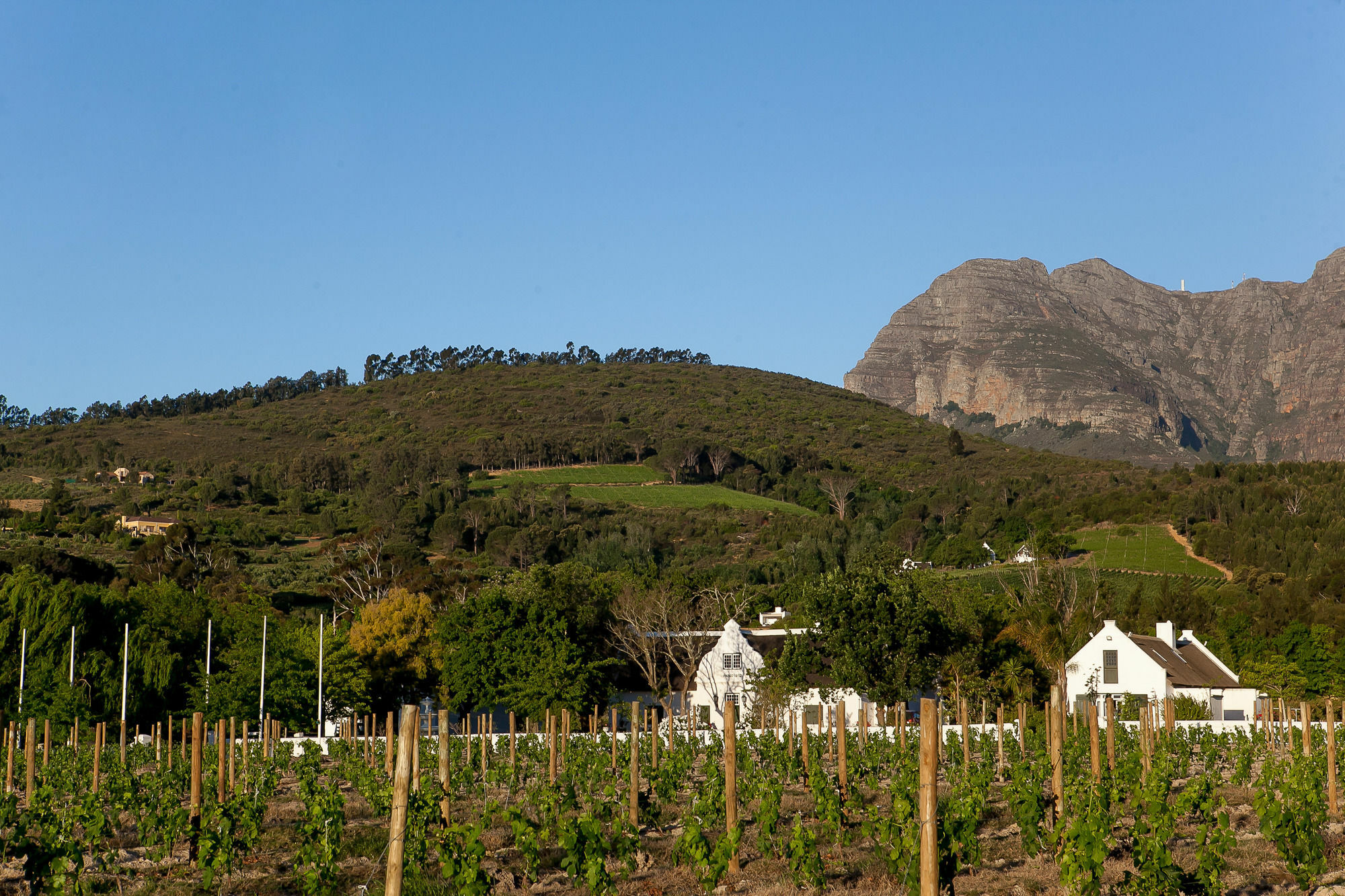 1692 De Kleijne Bos Country House Paarl Dış mekan fotoğraf