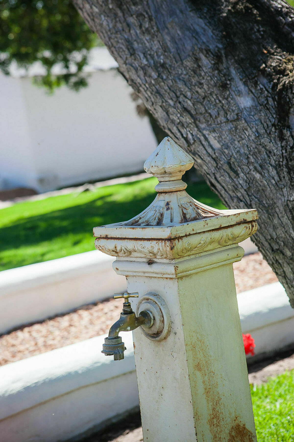 1692 De Kleijne Bos Country House Paarl Dış mekan fotoğraf