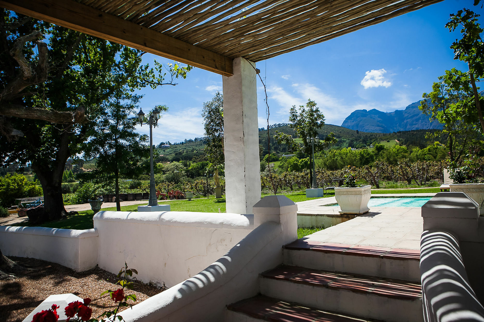 1692 De Kleijne Bos Country House Paarl Dış mekan fotoğraf