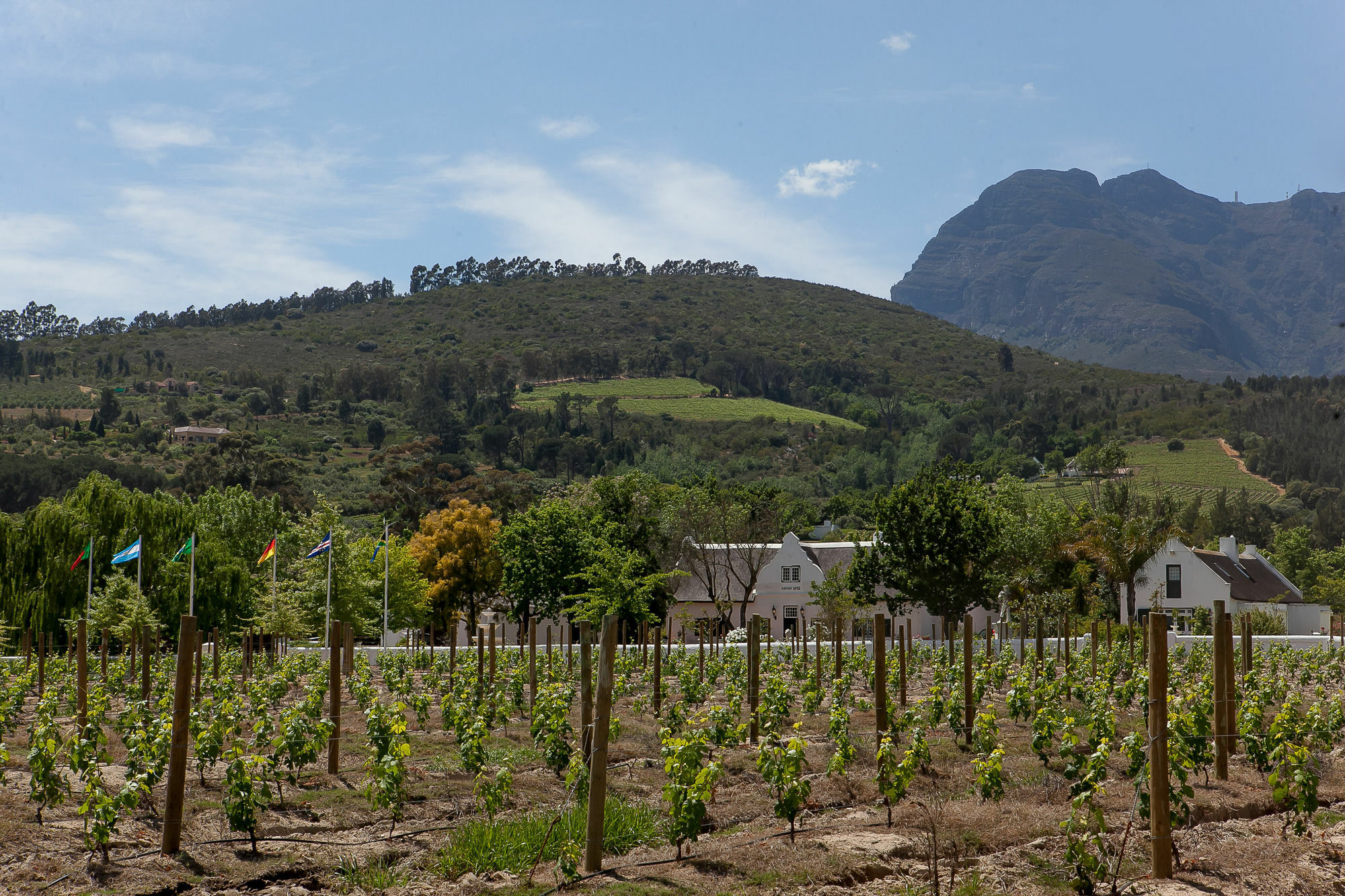 1692 De Kleijne Bos Country House Paarl Dış mekan fotoğraf