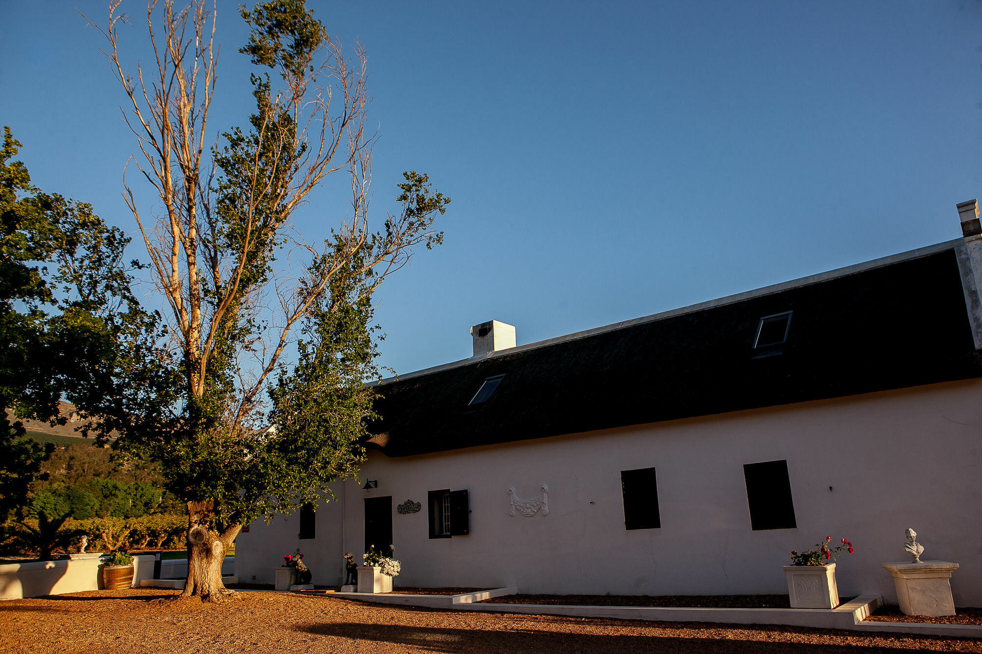 1692 De Kleijne Bos Country House Paarl Dış mekan fotoğraf